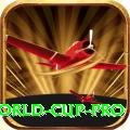 2019 world cup PK VIP