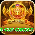 2022 world cup cricket Plus v4.5.3