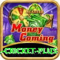 all cricket Casino Official v3.7.8
