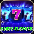 andy flower Premium Edition v3.6.8