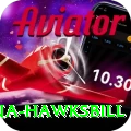 antigua hawksbill Gold Edition v2.2.9