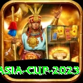 asia cup 2023 Premium Edition v2.7.5