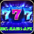 bbl big bash apk Games (Casino & Earning) Premium v5.4.9