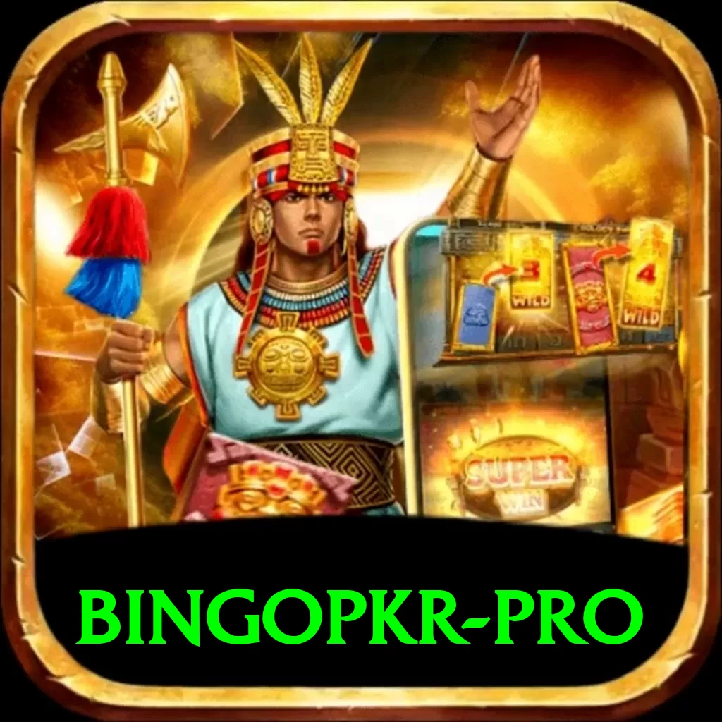 bingopkr Live Master - 2