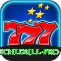 cricket match schedule Deluxe v5.1.7