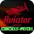 cricket pitch Gold Edition v5.8.1