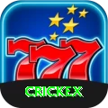 crickex VIP Edition v4.4.0
