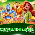 danushka gunathilaka Apps (Tools & Injectors) Plus v2.0.7