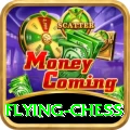 flying chess VIP Pro v3.8.2