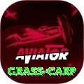 grass carp Master Pro v3.0.2