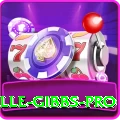 herschelle gibbs VIP APK v1.0.7