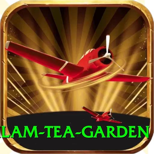 hile ilam tea garden Turbo v3.2.9 - 2