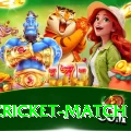 india cricket match Apps (Tools & Injectors) Ultimate v5.2.8