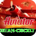 india pakistan cricket Premium Plus v4.4.1
