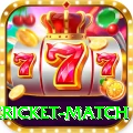 international cricket match Gold Edition v2.6.9