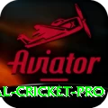 international cricket Ultimate v4.7.1