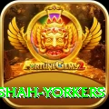 naseem shah yorkers Premium Plus v1.3.0