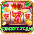 netherlands cricket team VIP v4.6.8