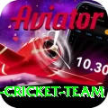 pakistan women cricket team Deluxe Edition v5.4.5