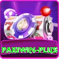 pakiwin Max v4.3.9