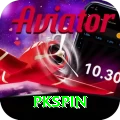 pkspin Premium Edition v1.0.1
