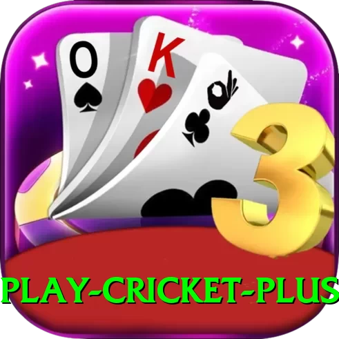play cricket - Live Champion - 2