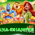 pothana dhampus Premium Edition v2.4.0