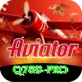 q789 Champion v1.7.3