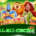 risk free bet cricket Games (Casino & Earning) Plus v1.0.2