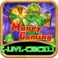 smartcric live cricket Pro1 v5.3.1