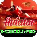 sports cricket Master APK v2.4.8