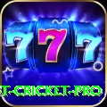 test cricket Premium PK v2.1.7