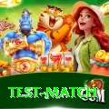 test match Pro1 v1.1.0