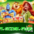 tnpl live score Royal - Win Real PKR