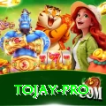 tojay Pro1 v4.3.0