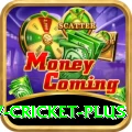 v cricket Deluxe Gaming App