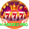 willow cricket Game Gold v5.7.6